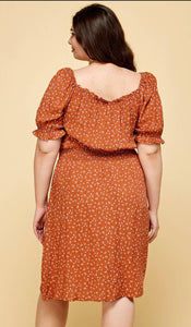 Plus size smocked waist dress